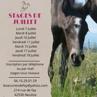 Stages d'été